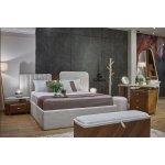 ⁦باندا⁩ - الصورة ⁦3⁩