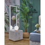 ⁦دريم⁩ - الصورة ⁦4⁩