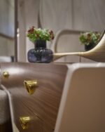 ⁦كوبرا بلو⁩ - الصورة ⁦8⁩