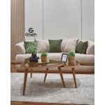 ⁦شامبيون⁩ - الصورة ⁦7⁩